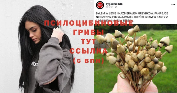 mdma Лиски